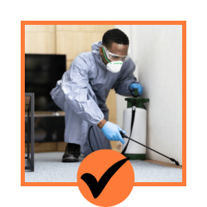 pest-treatment